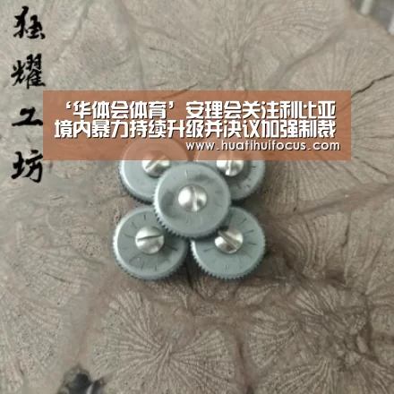 ‘华体会体育’安理会关注利比亚境内暴力持
